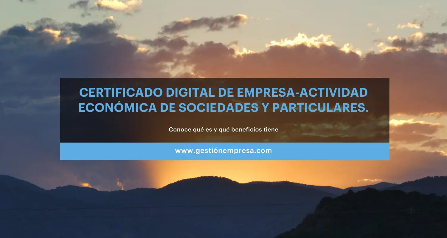 Certificado digital de empresa: Actividad económica de sociedades y particulares